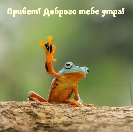 !   !