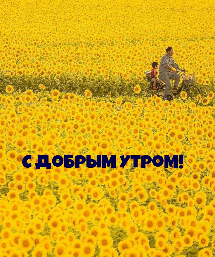   !