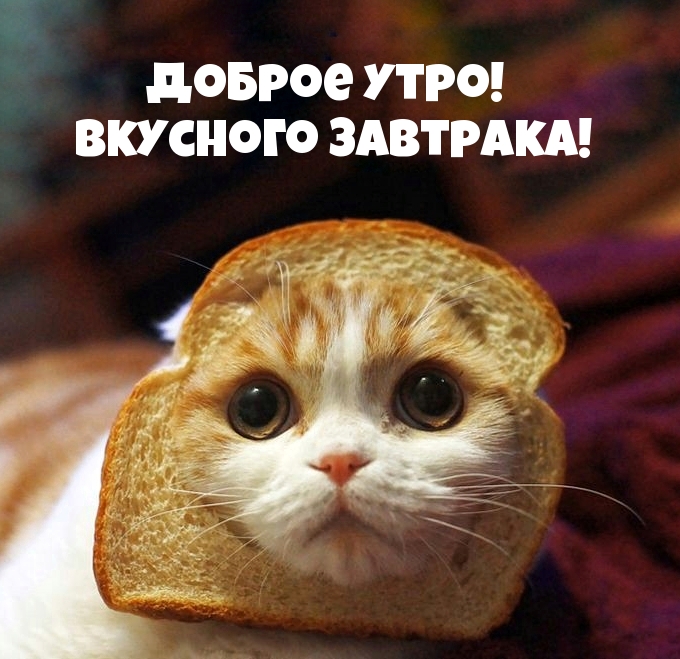 Доброе утро! Вкусного завтрака! Доброе утро! Вкусного завтрака!