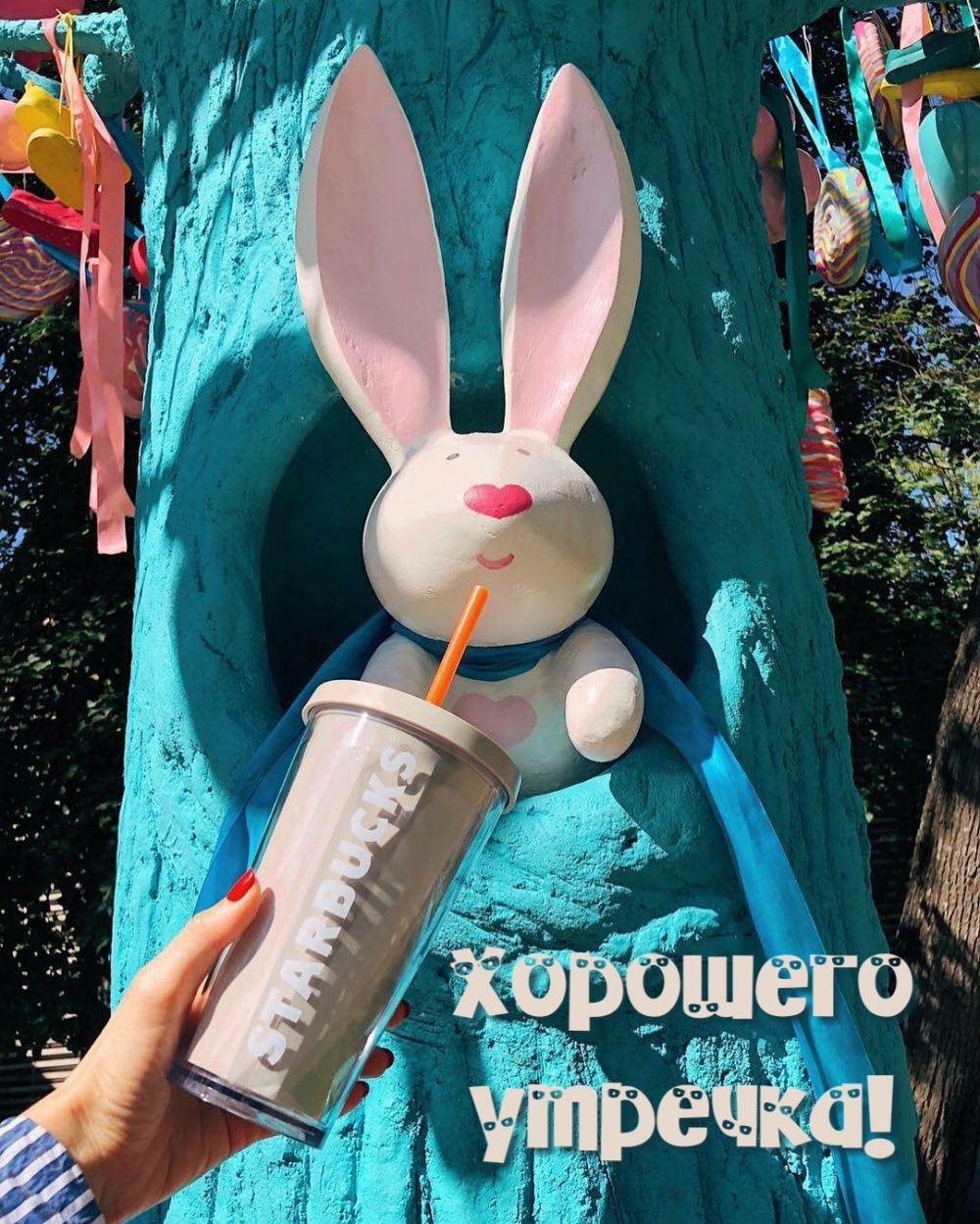 Открыть в полном размере Хорошего утречка!