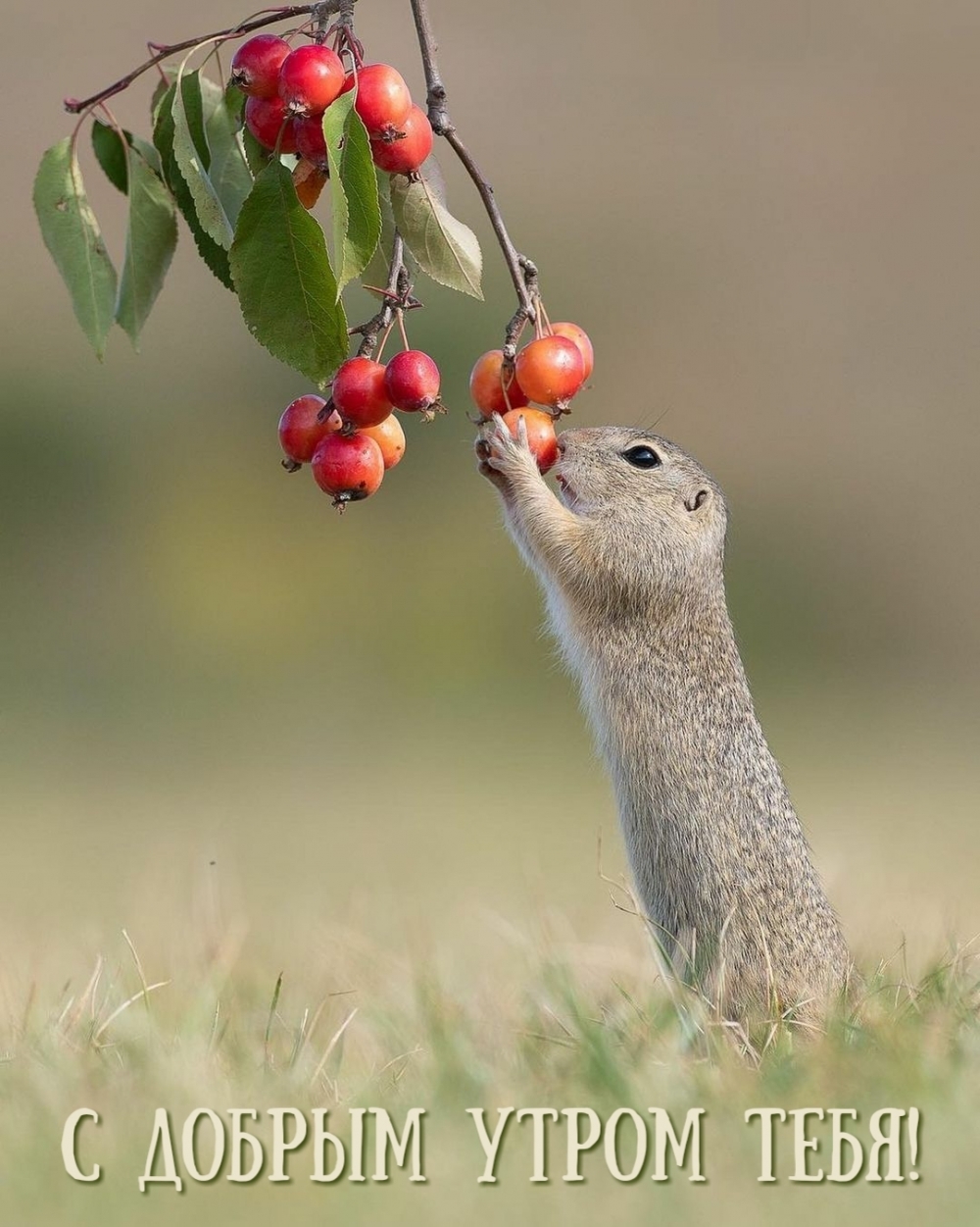 � ������ ����� ����!