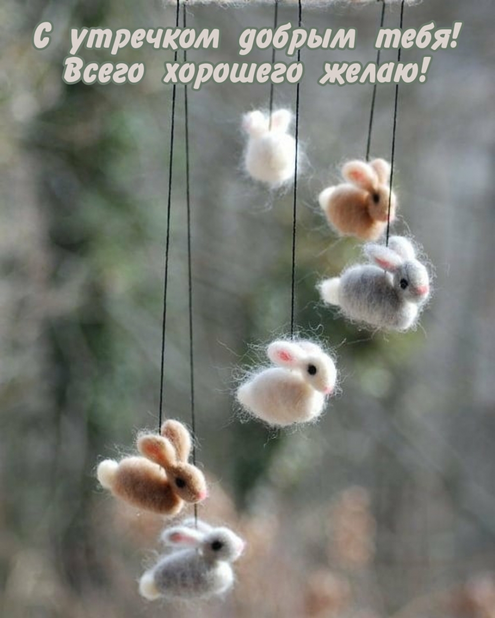 Открыть в полном размере С утречком добрым тебя! Всего хорошего желаю!